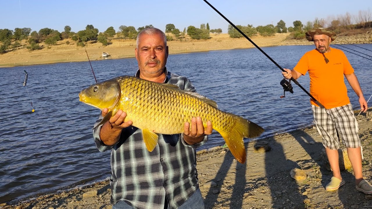 YO-RUL-DUK 🐟 EFSANE AV... #carpfishing #sazanavı