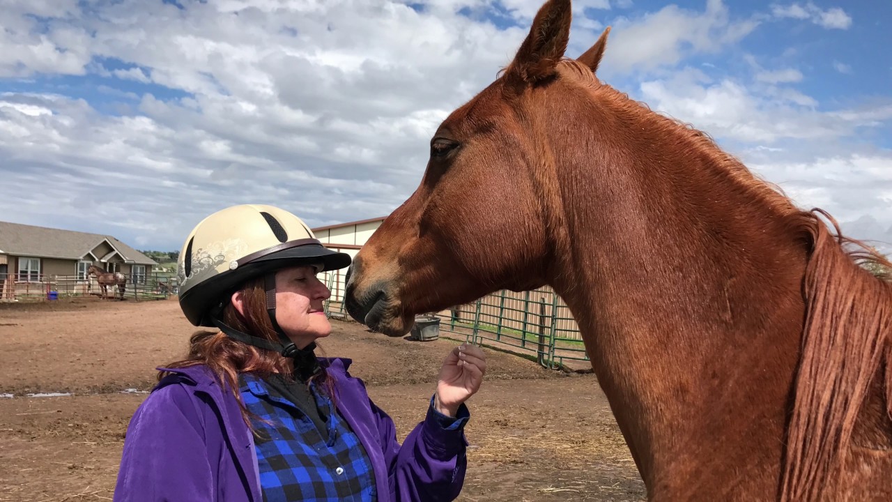Experience Horse Whispering 101