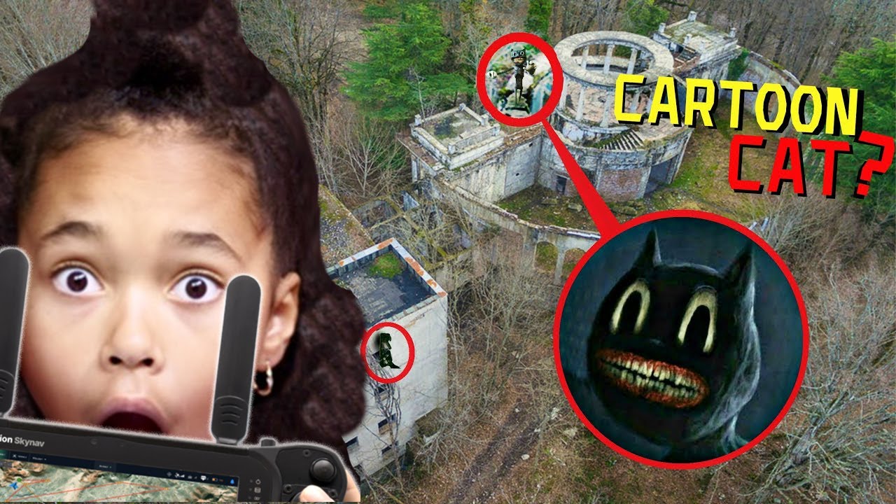 Notre DRONE trouve CARTOON CAT et CARTOON DOG * ils existent !! *