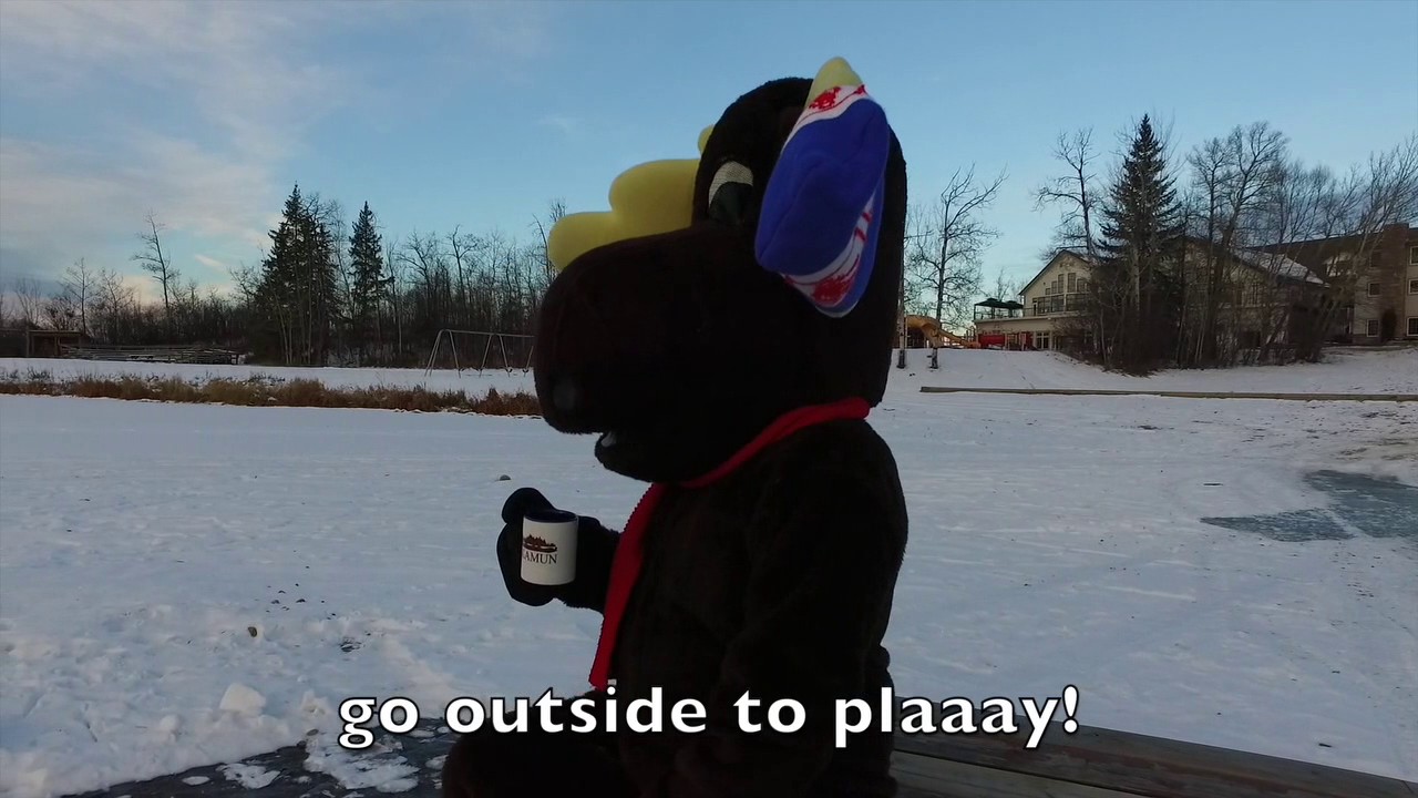 Camp Oddity - Space Oddity Parody