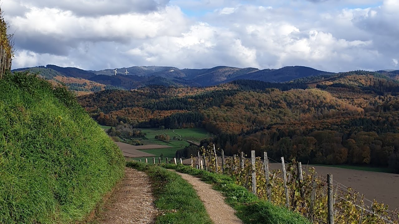 Weinberge I S&uuml;dbaden I 4K