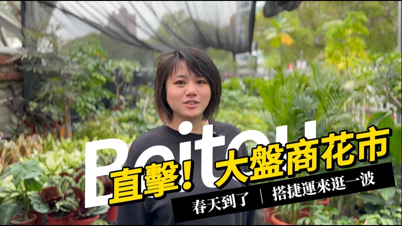 春天到啦！來逛一波北投大盤商花市！！