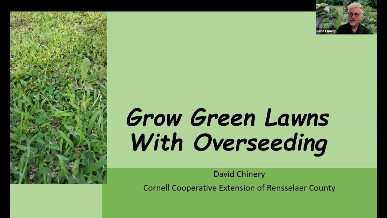 Grow green lawns with overseeding | Beech leaf disease 7/4/2025
