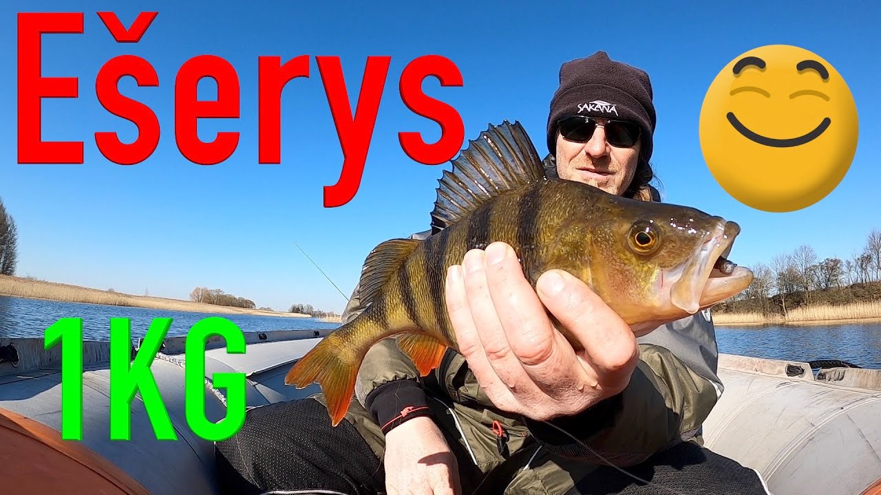 Streaming Live from my #GoPro Eserys 1KG