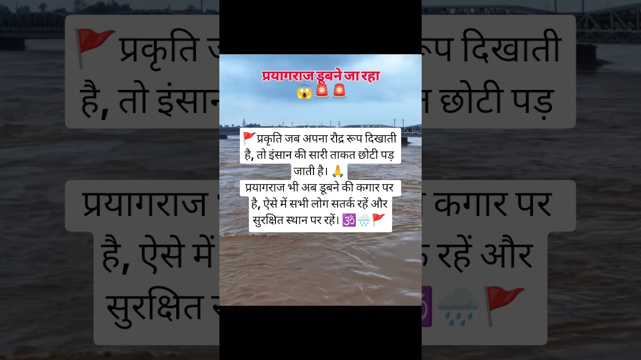 Prayagraj Is About to Go Under Water 🌊⚠️ #Prayagraj #Flood #Nature #short #chitrakoot  #ytshorts
