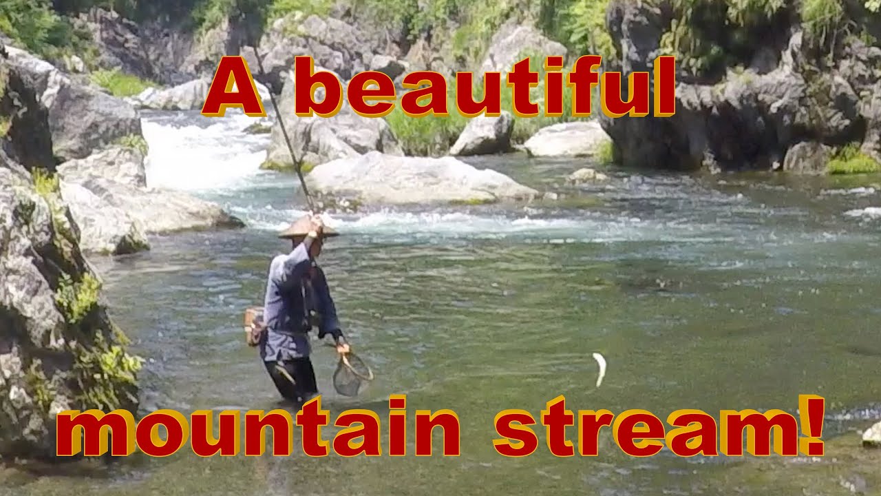 Japanese mountain stream fishing by Yoshioka