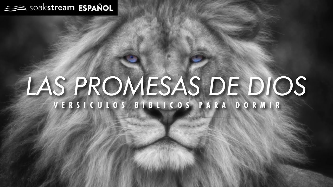 Las Promesas de Dios | Versiculos Biblicos Para Dormir