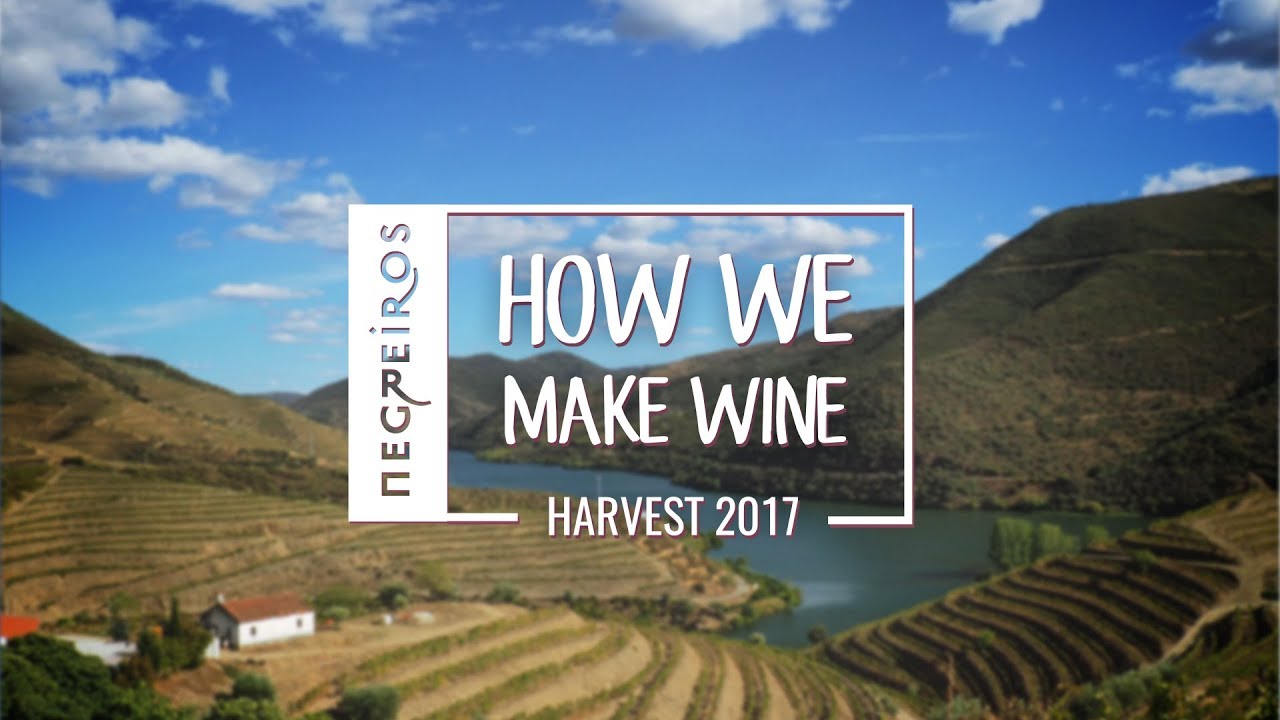 Negreiros - How We Make Wine -  Harvest 2017