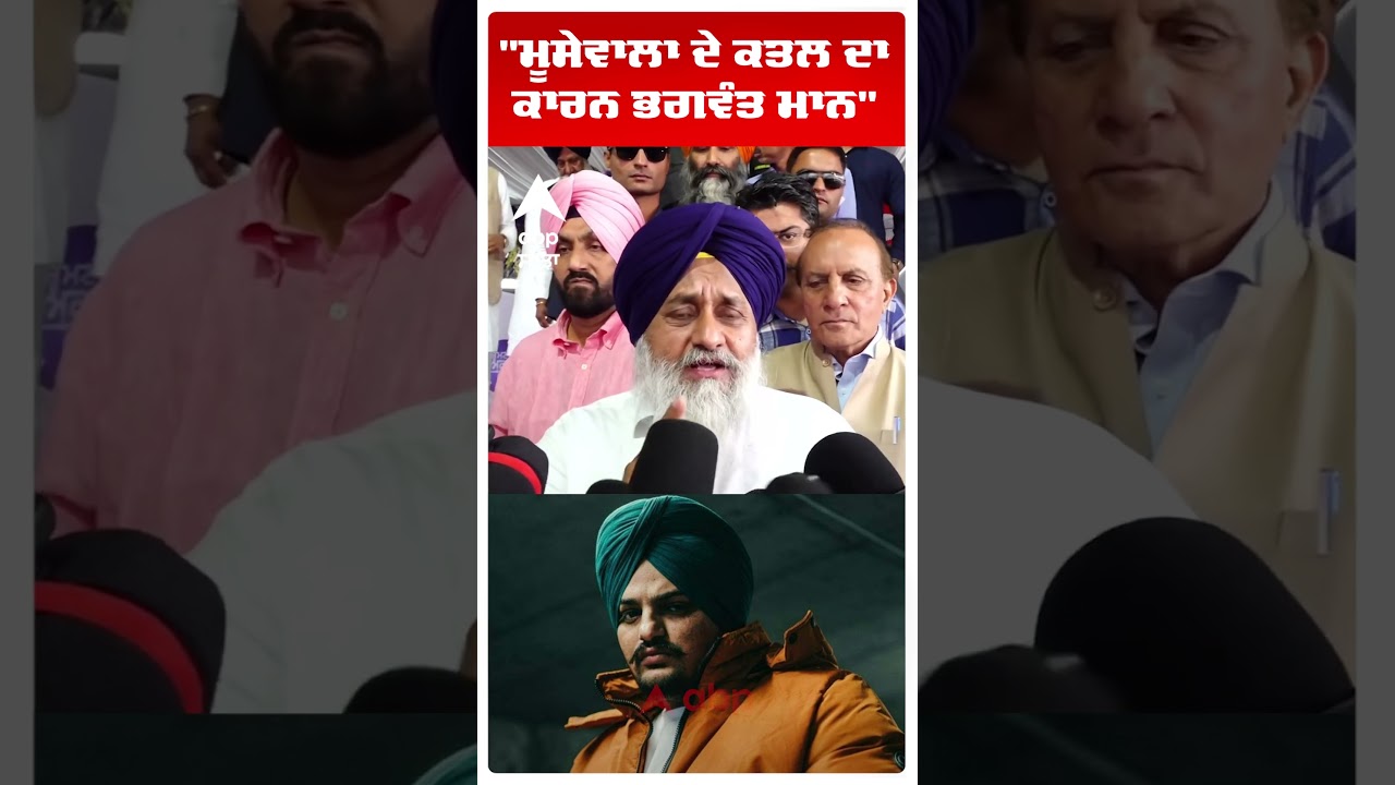 Sukhbir Badal on Cm Mann : ''Moosewala ਦੇ ਕਤਲ ਦਾ ਕਾਰਨ ਭਗਵੰਤ ਮਾਨ'' |Abp Sanjha | Shorts