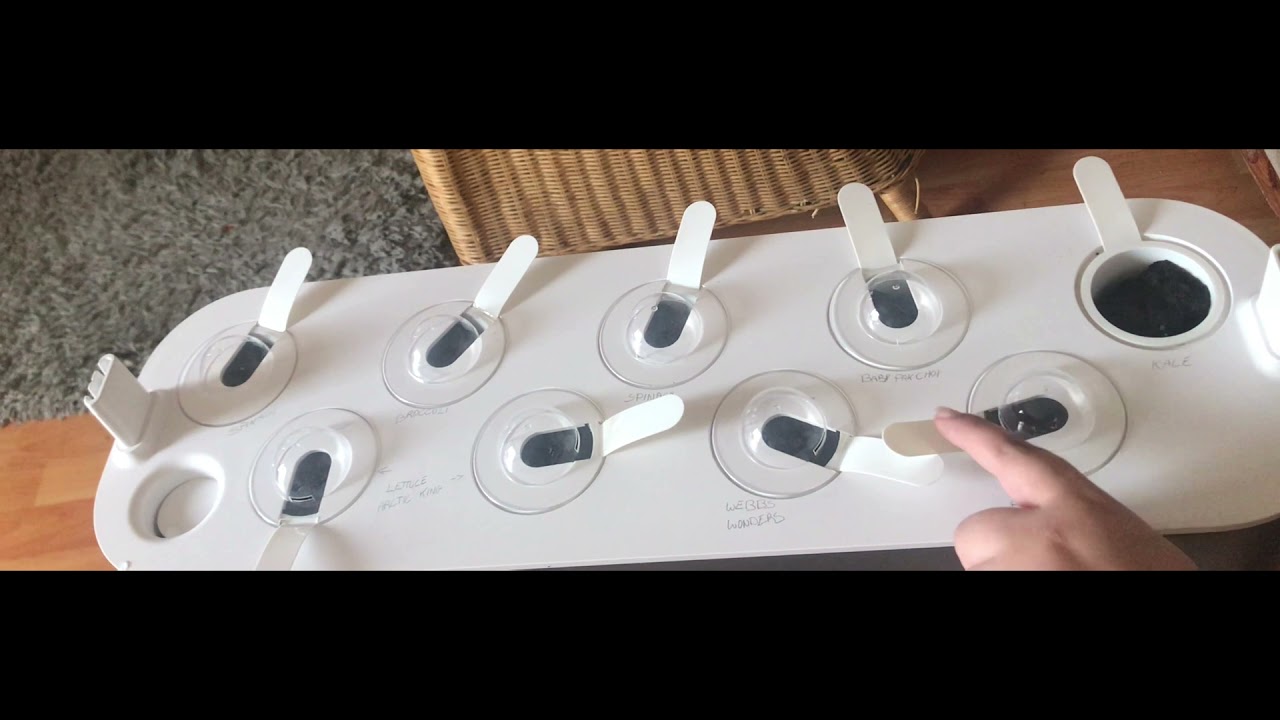 Re-set the Click and Grow Smart Garden 9… with a different growing medium!! 🤓