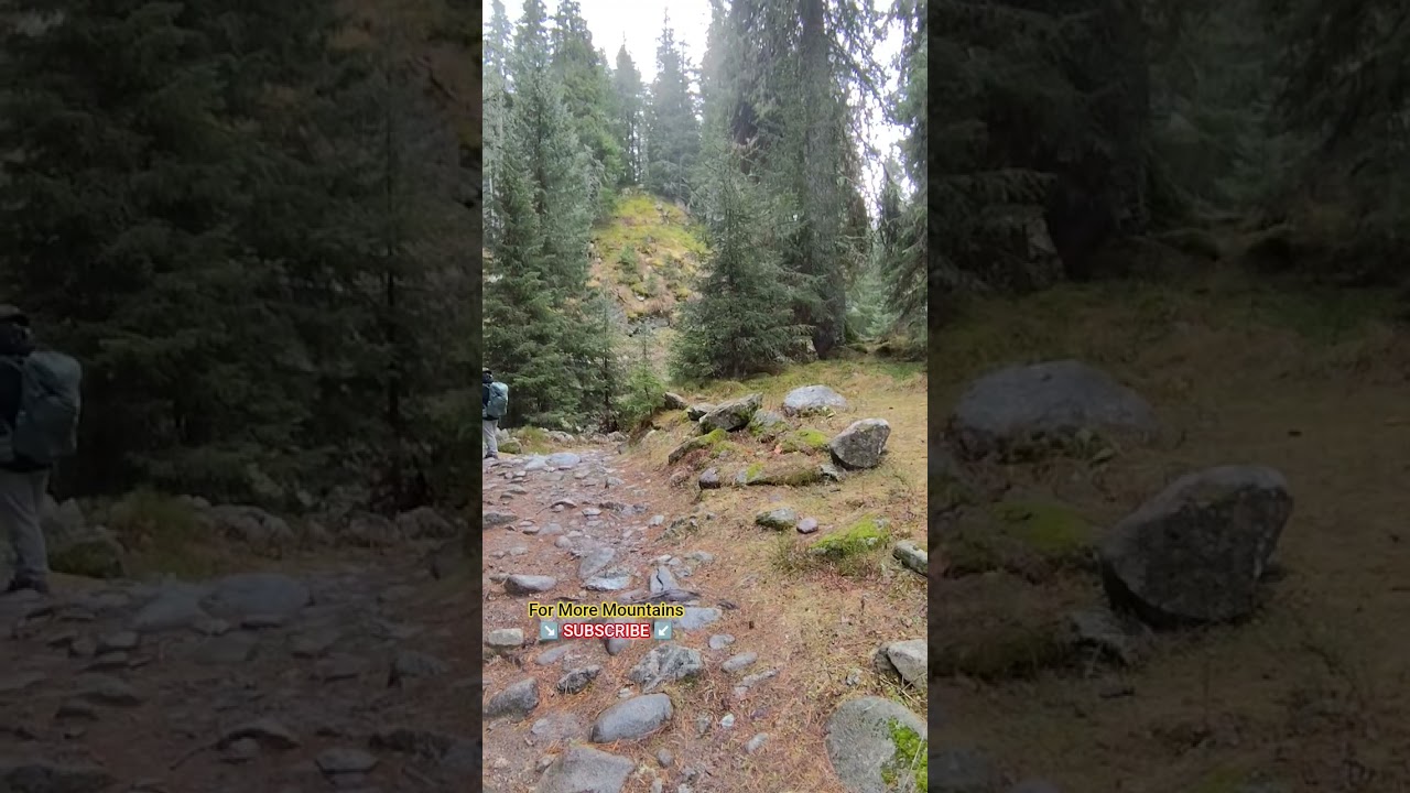 Mountain Wild Nature Forest and river in Pirin National Park- hiking adventure in Rhodope