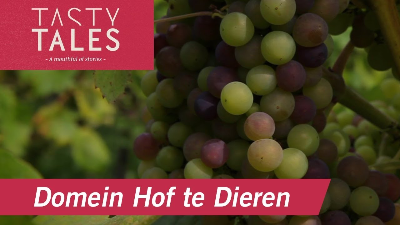 DOMEIN HOF TE DIEREN (Dieren) • The largest walled vineyard in The Netherlands • Tasty Tales