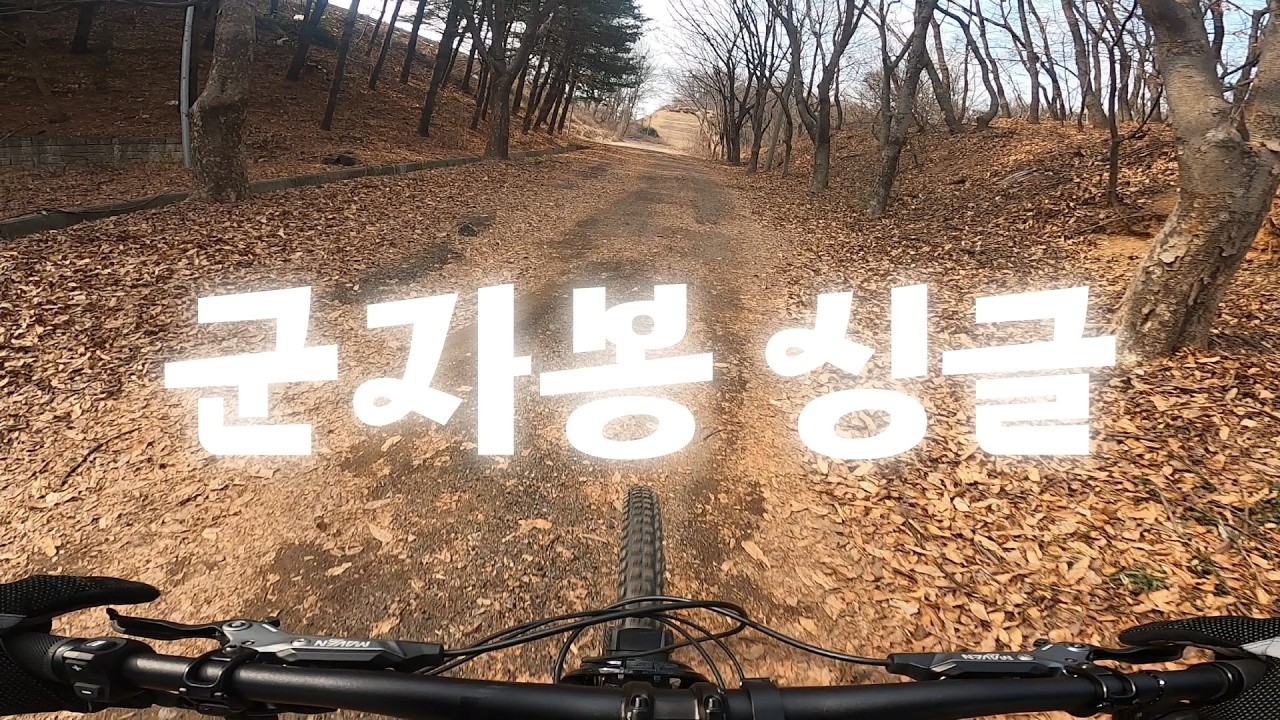 JW FPV 싱글 다운/e-MTB/군자봉