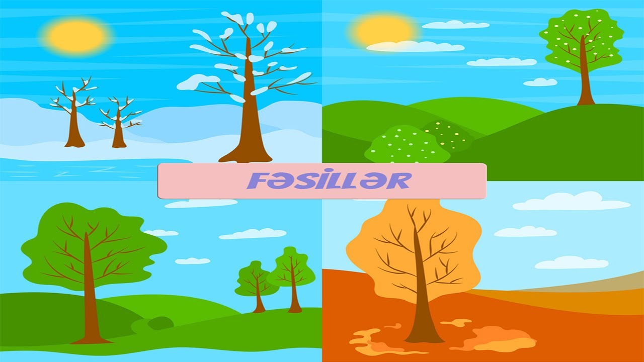 Fəsillər (İlin fəsillərini daha asan öyrən)|Fesiller🌷🌳🍂🎅🏼