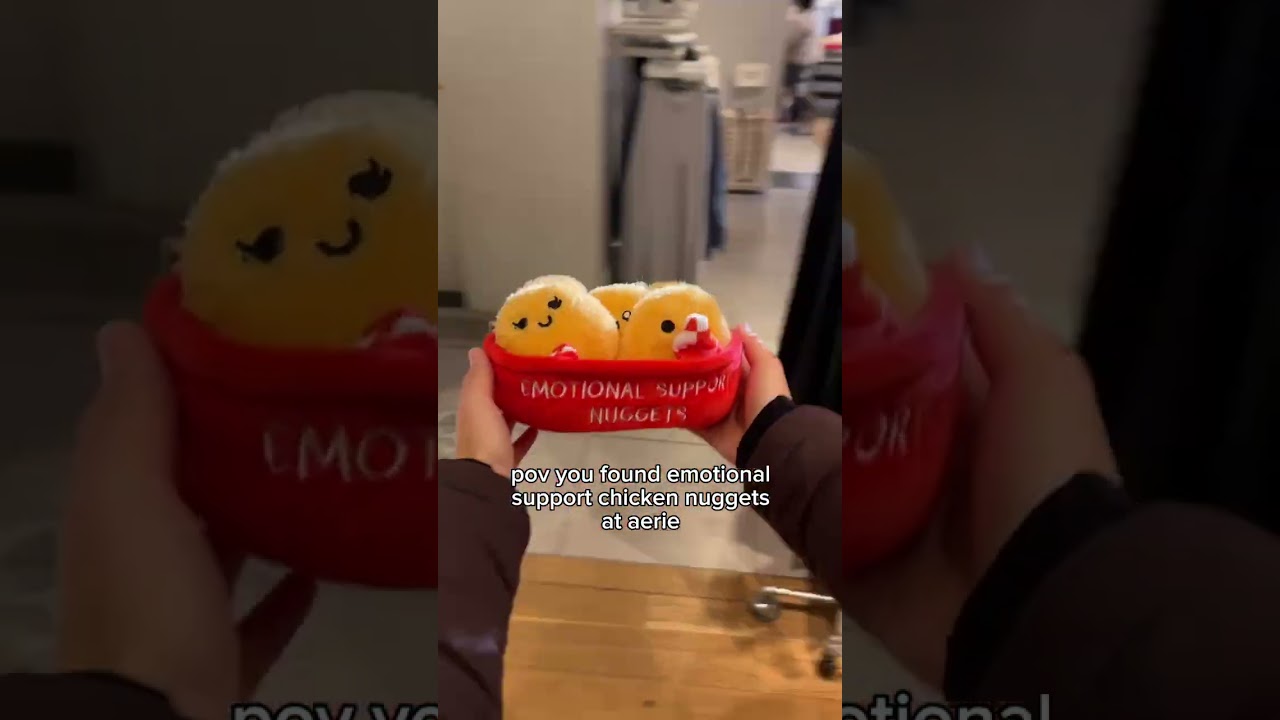 I Found Emotional Support Chicken Nuggets at Aerie!