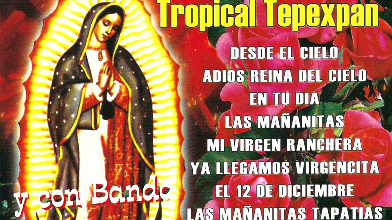 MA&Ntilde;ANITAS A LA VIRGEN DE GUADALUPE - Tropical Tepexpan 2024
