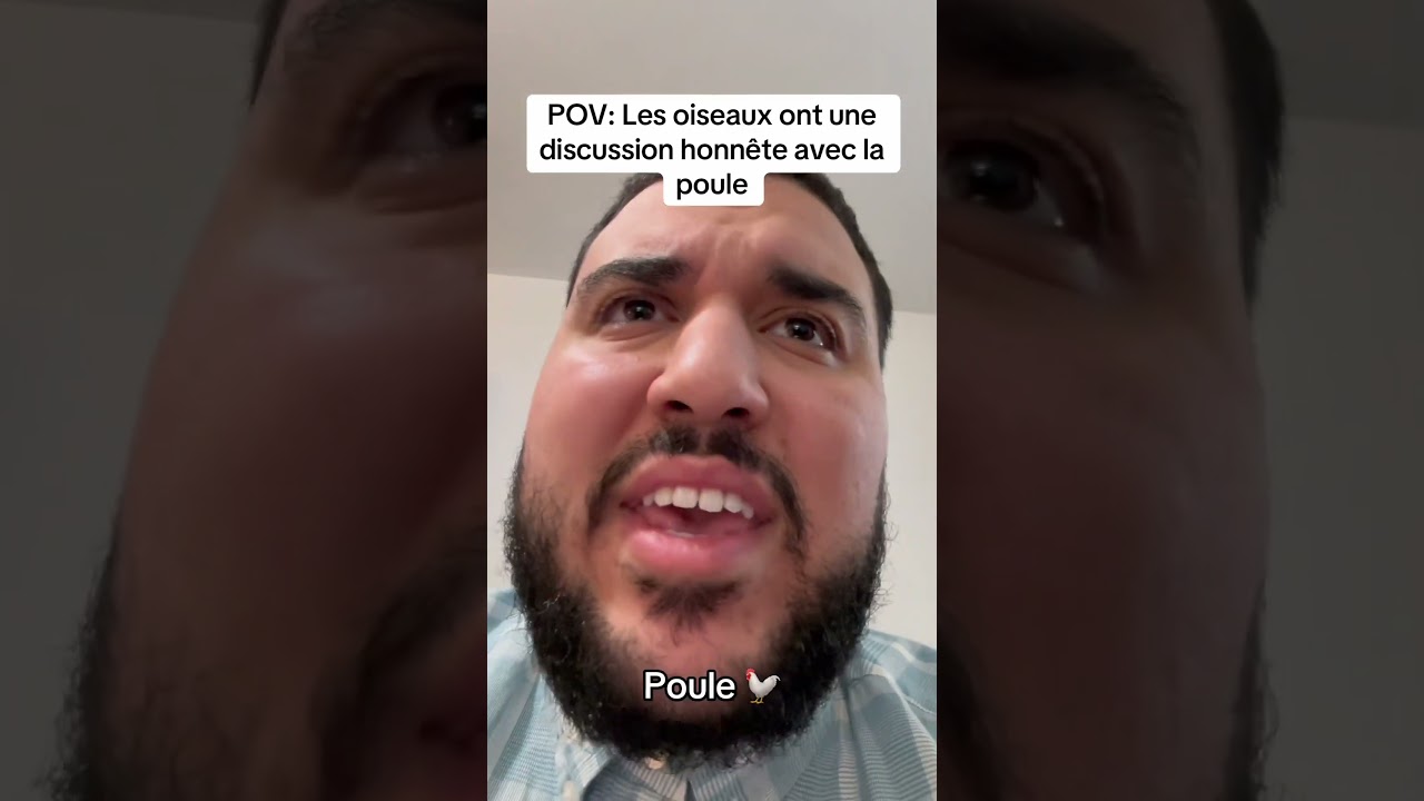 POV: Les oiseaux ont une discussion honn&ecirc;te avec la poule
