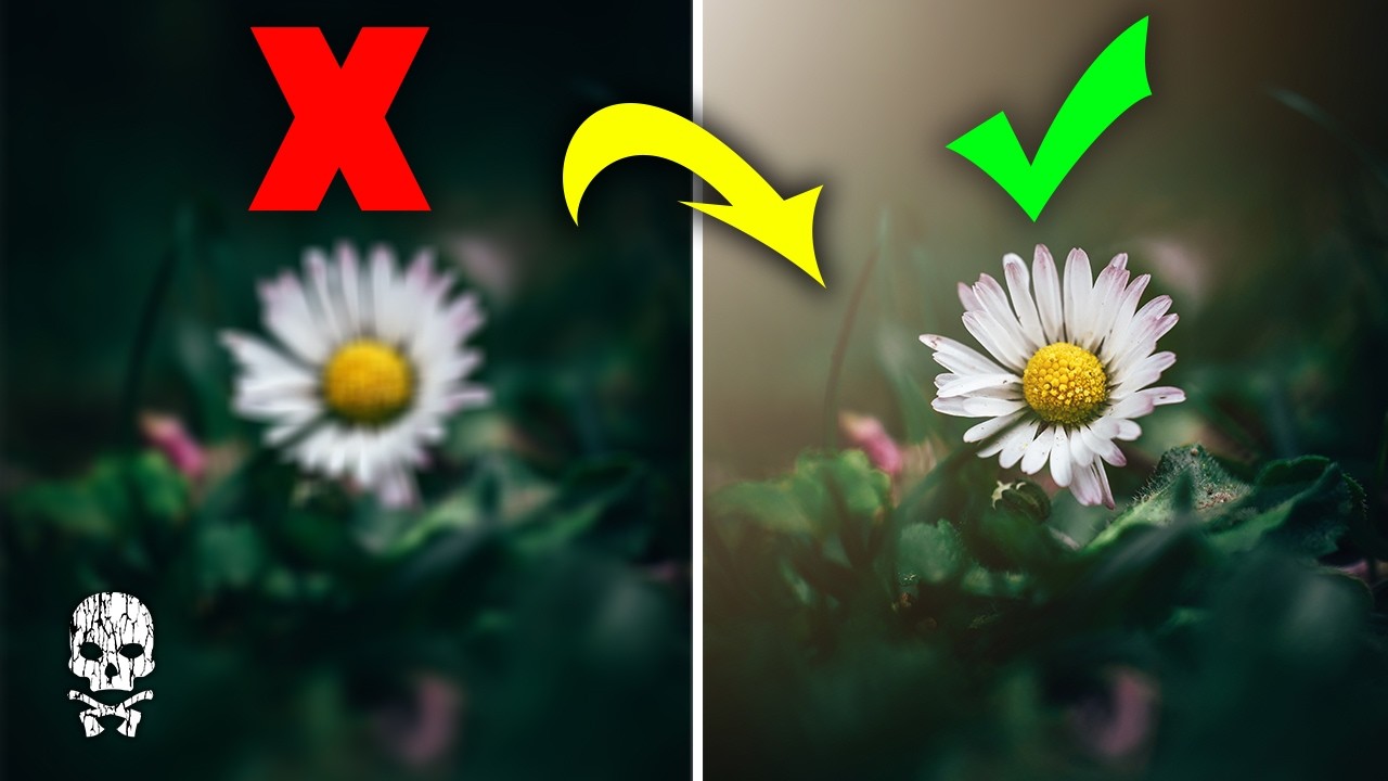 This makes Moody Nature Photography so much EASIER