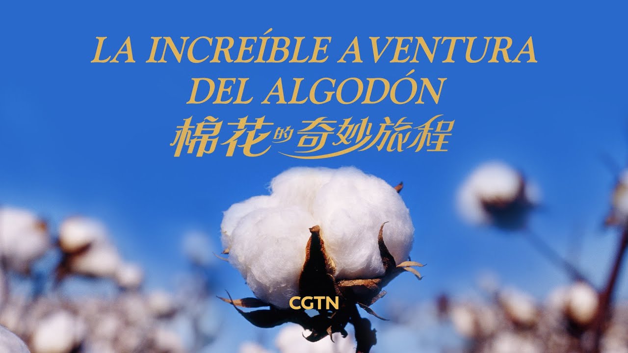 La increíble aventura del algodón | Documental