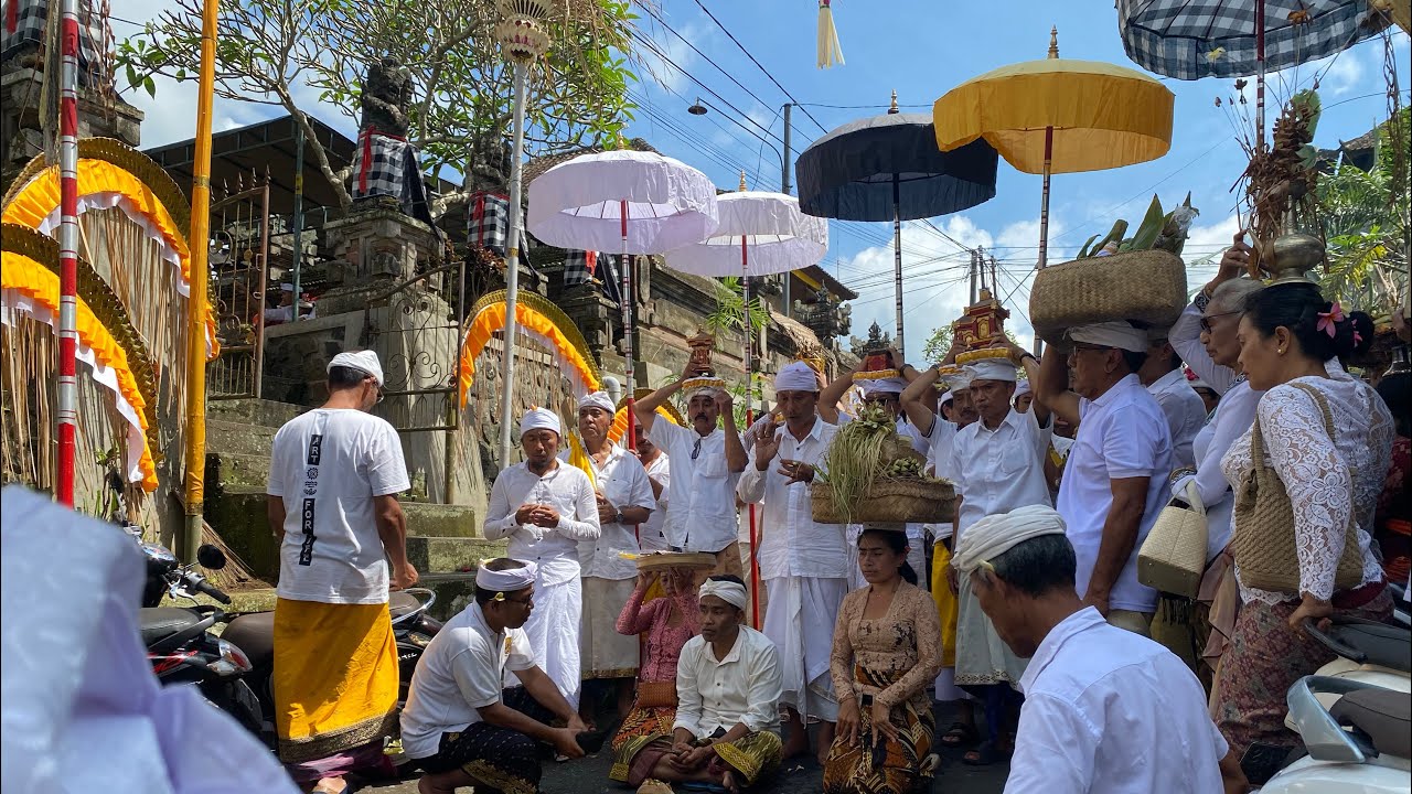 Ngeluwur #baliisland #ceremony #culture #baliceremony #bali #baliisland