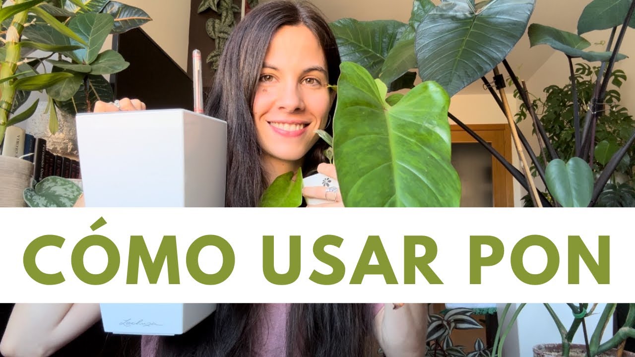 C&oacute;mo cultivar plantas en Lechuza Pon: Gu&iacute;a completa sobre uso, fertilizaci&oacute;n...
