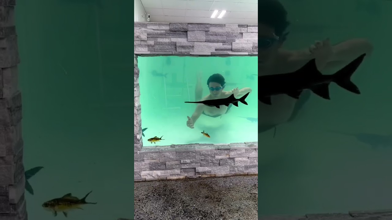 Swimming in my MASSIVE Home AQUARIUM!!