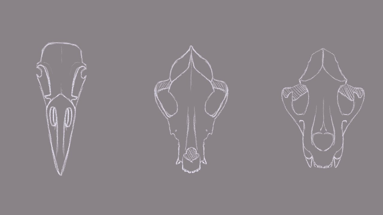 Eat Your Young - OC Animatic