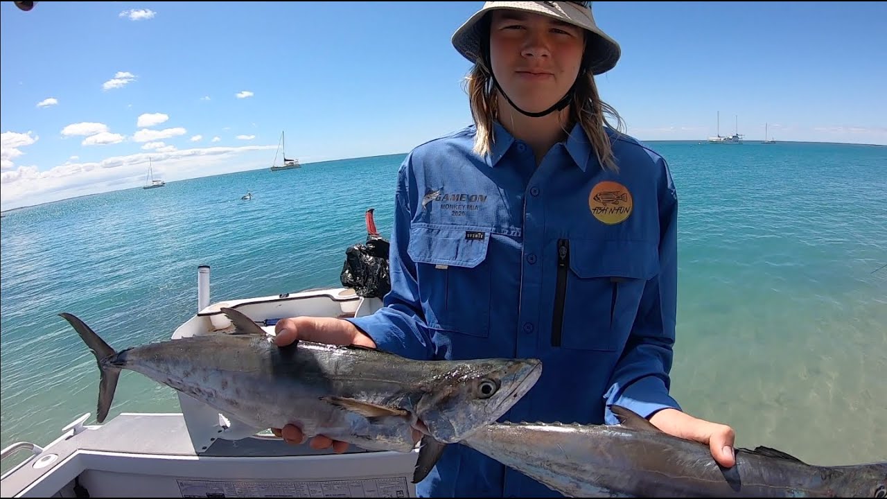 Spotted Mackerel City!! MonkeyMia Dolphins  -  Monkey Mia Shark Bay WA - EP 25