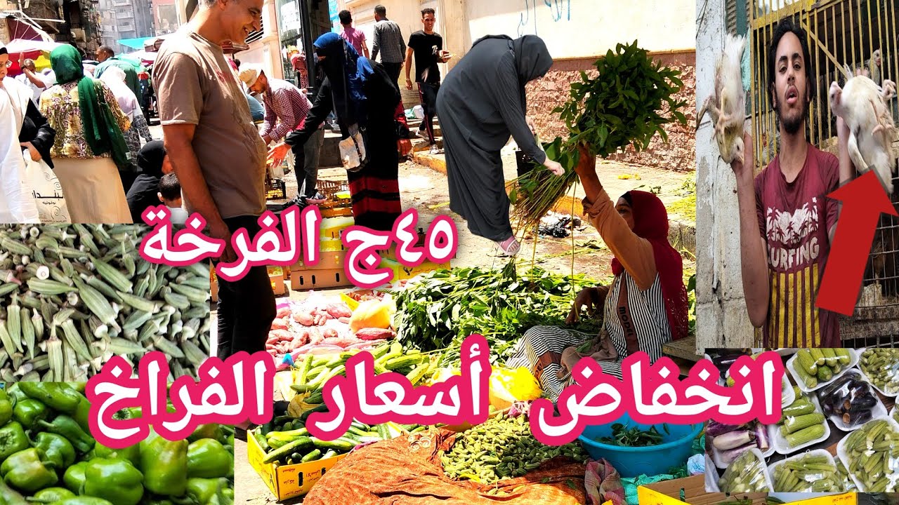 مش هتصدقوا سعر الفرخة بكام عند عاشور فى سوق باب عمر باشا محطة مصر أسكندرية 