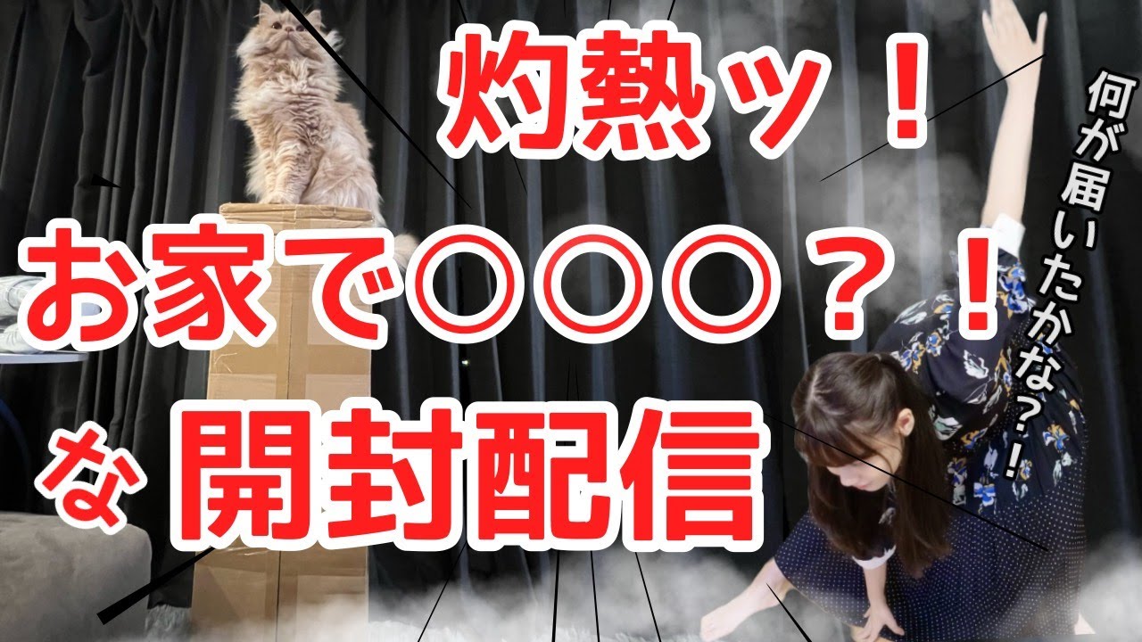 【おうちで〇〇〇な開封＆組み立て配信！】ちわくわくッッッ！！！！！！【人間】