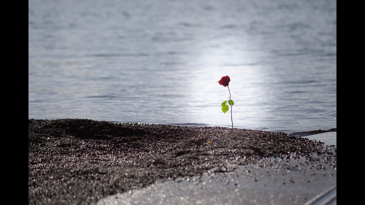 Utøya 2023 (Tekstet)
