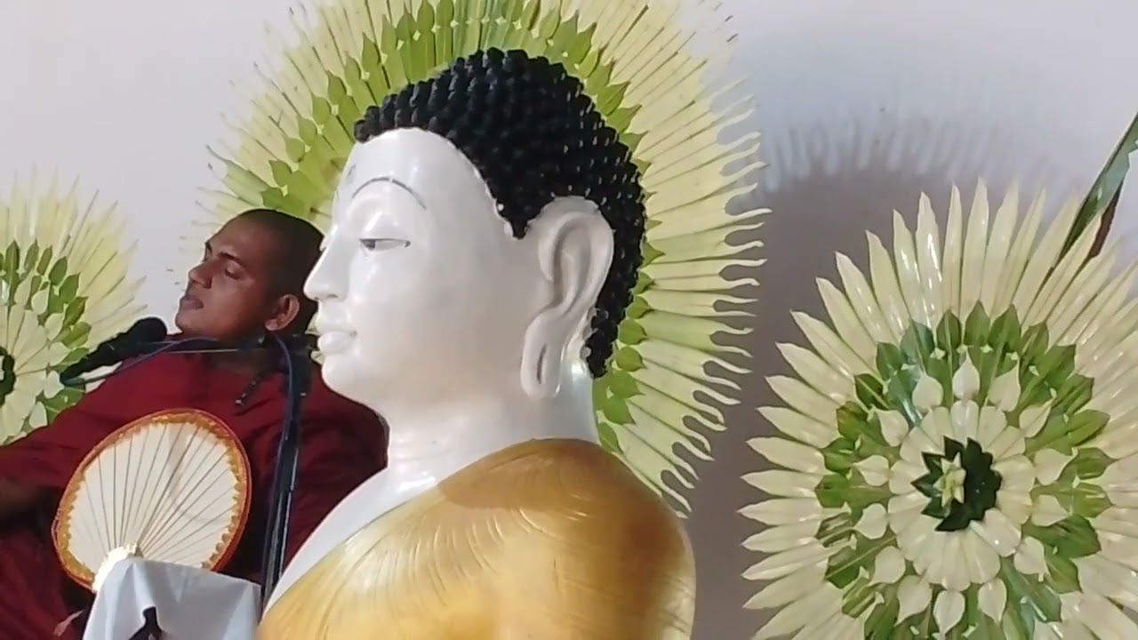 Pansil maluva#kavi bana#news pansil #travel 