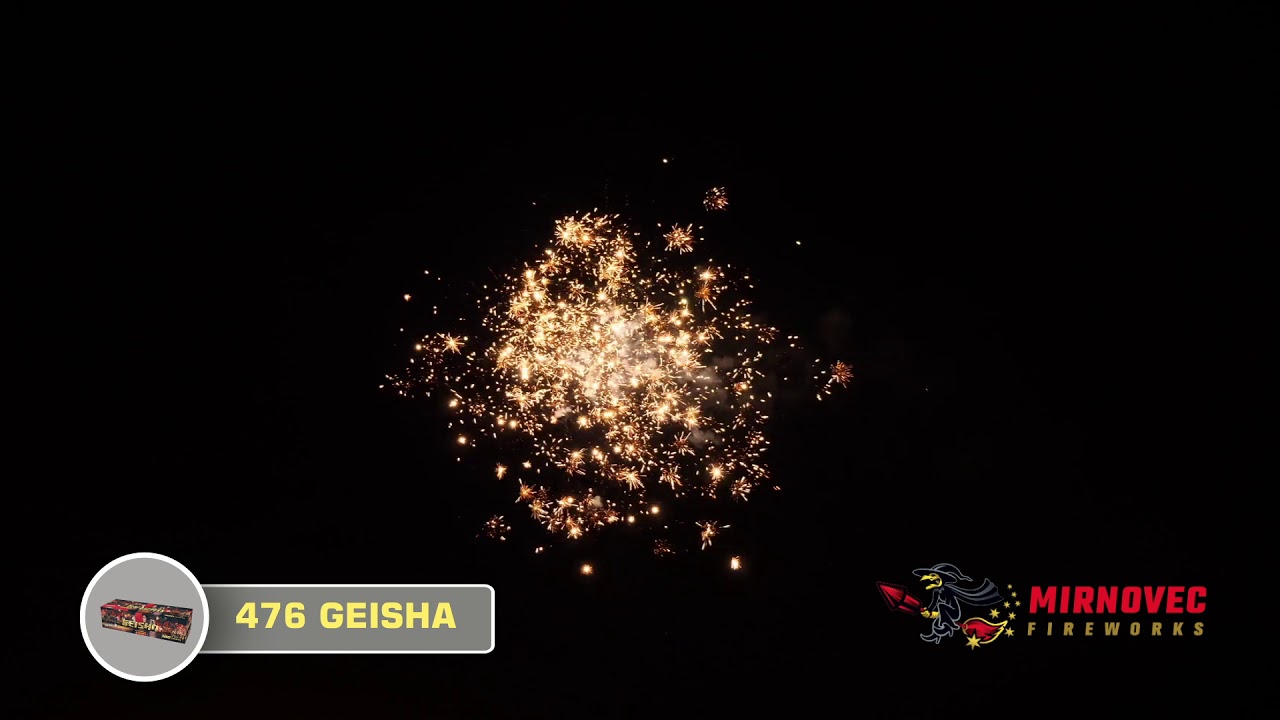 476 GEISHA