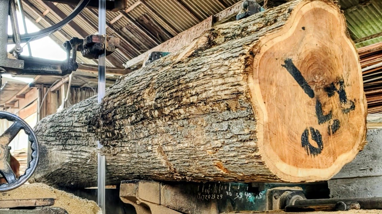 This is the form of large teak wood that shows beauty