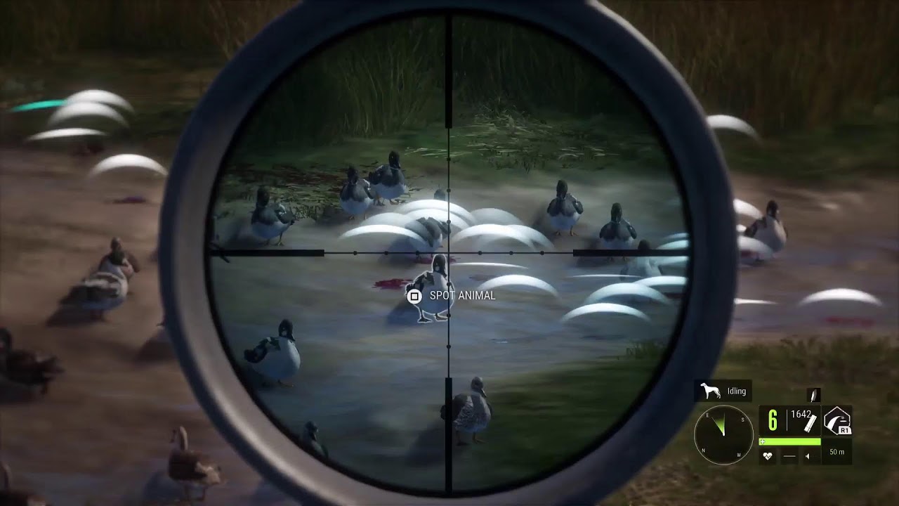 Let's do some Hunting