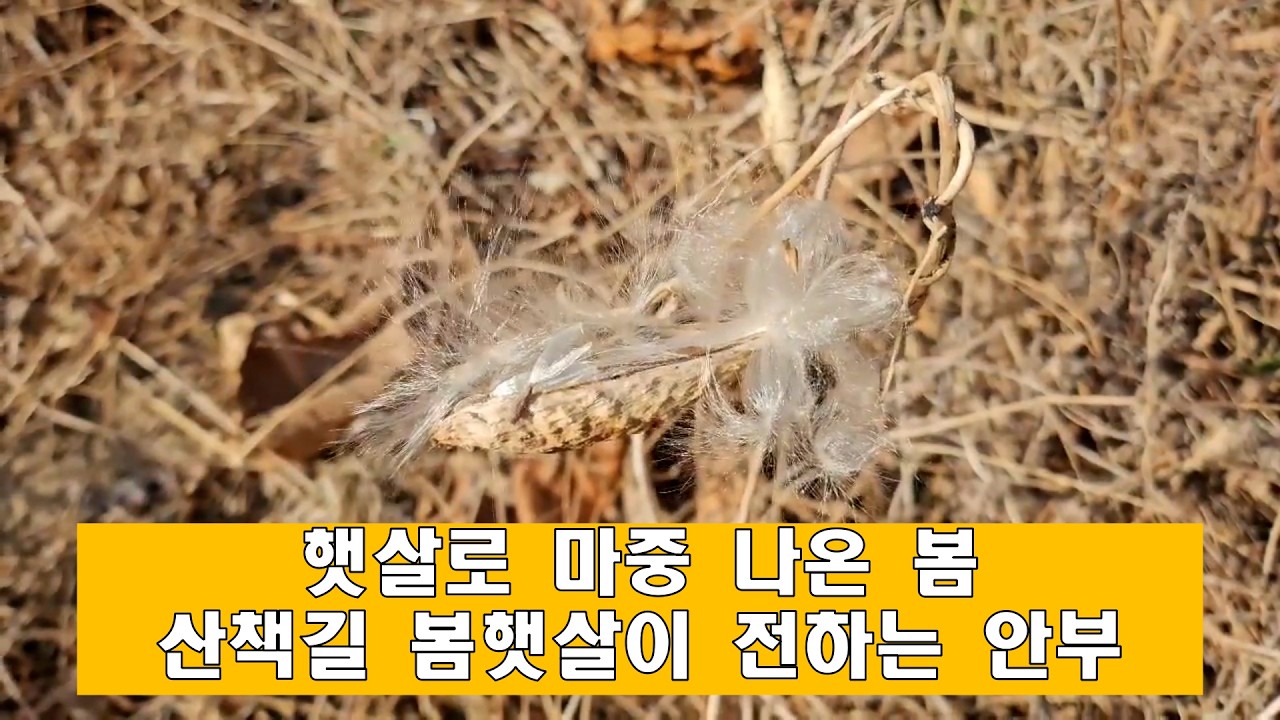 산을 넘으면 또 산일지라도 산책길에서 만난 다정한 응원