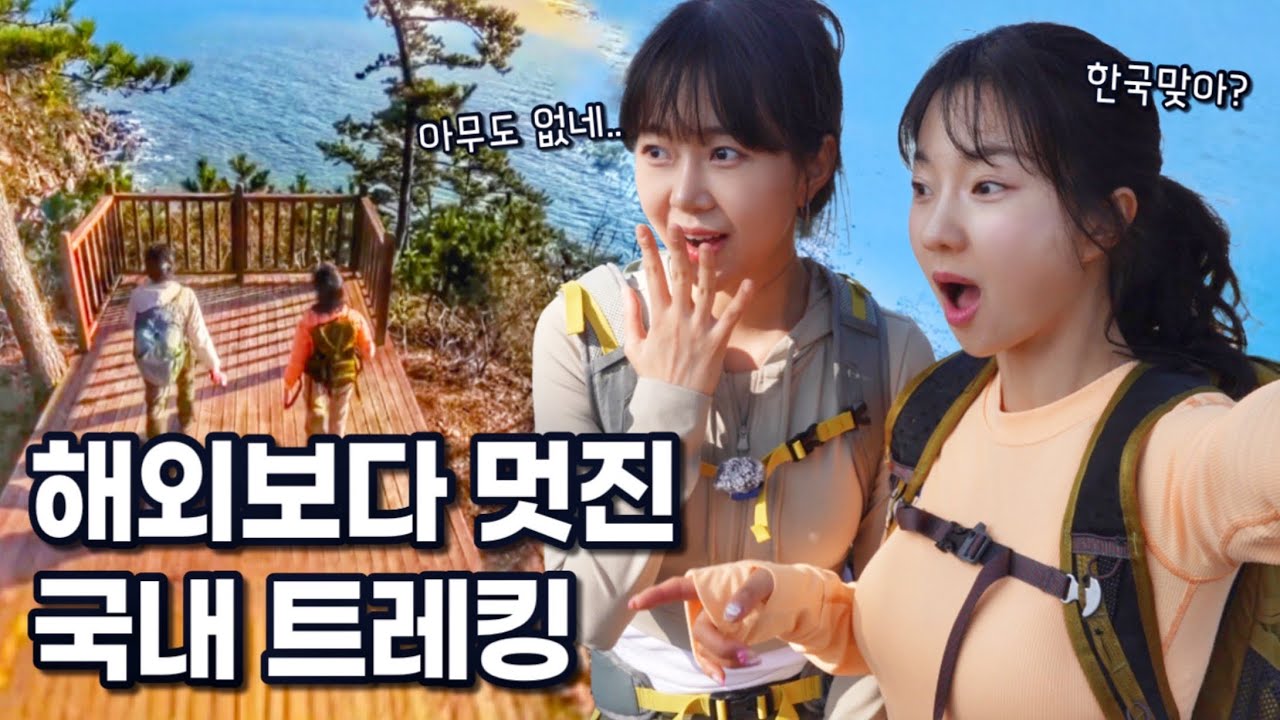 바다까지 단 1초! 하와이보다 더 멋진 태안 솔향기길 1코스 & 숨은 캠핑장 | 국내 여행 코스 추천