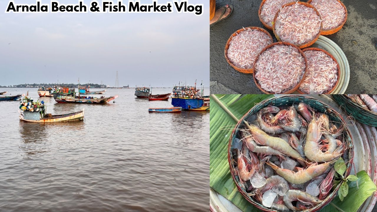 Arnala Beach & Fish Market Vlog | Virar Mumbai | Full Tour 2025