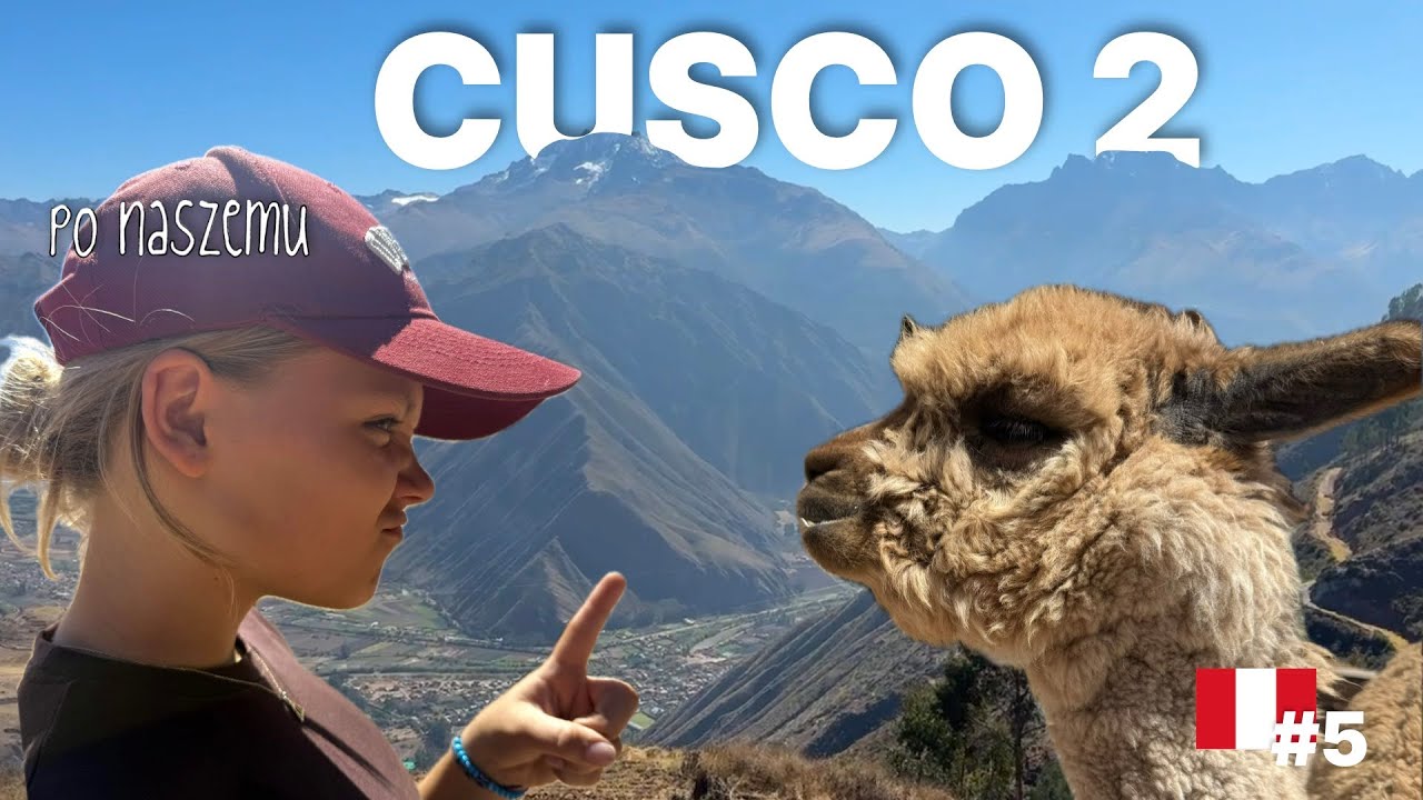 cusco 2 - lama czy alpaka?