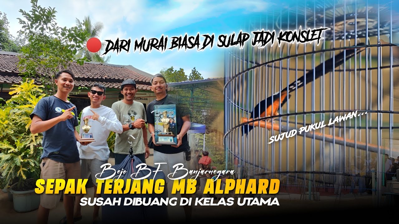 SEPAK TERJANG MURAIBATU ALPHARD BEJO BF BANJARNEGARA