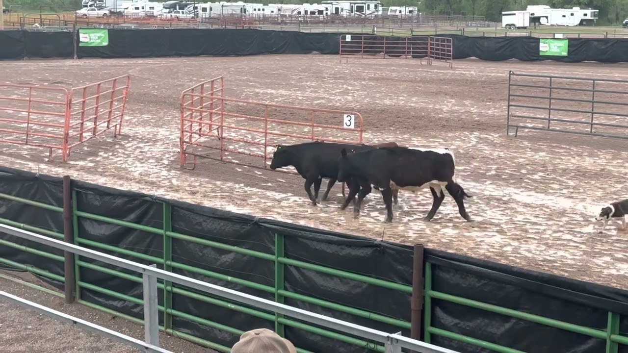 Stockton & his dog Bug - National Finals 2023