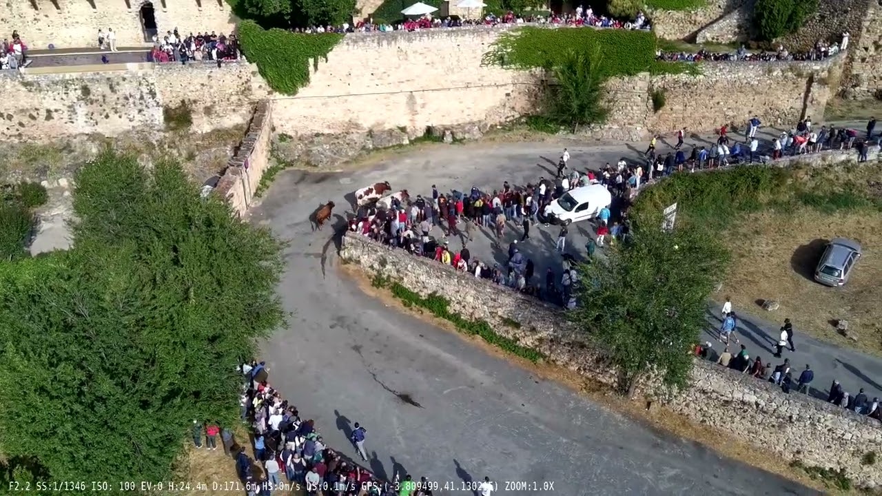 Encierro de Pedraza 2025