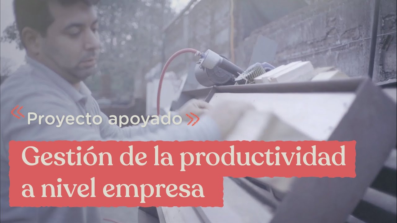 Gesti&oacute;n de la productividad a nivel de empresa