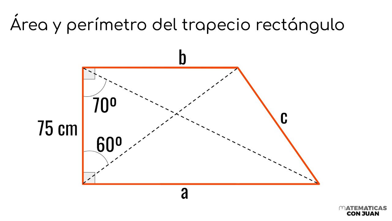 HALLAR EL ÁREA Y EL PERÍMETRO DEL TRAPECIO RECTÁNGULO. Matemáticas Básicas
