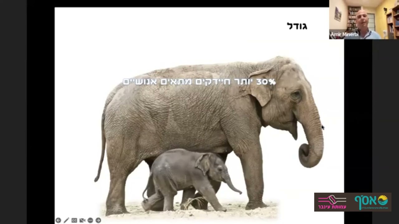 פיברומיאלגיה - כלי חדש לאבחון עם ד