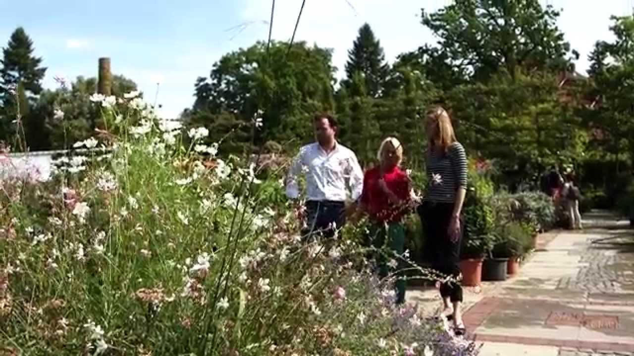 Königliche Gartenakademie Berlin . Die Gärtnerei / Die Pflanzen