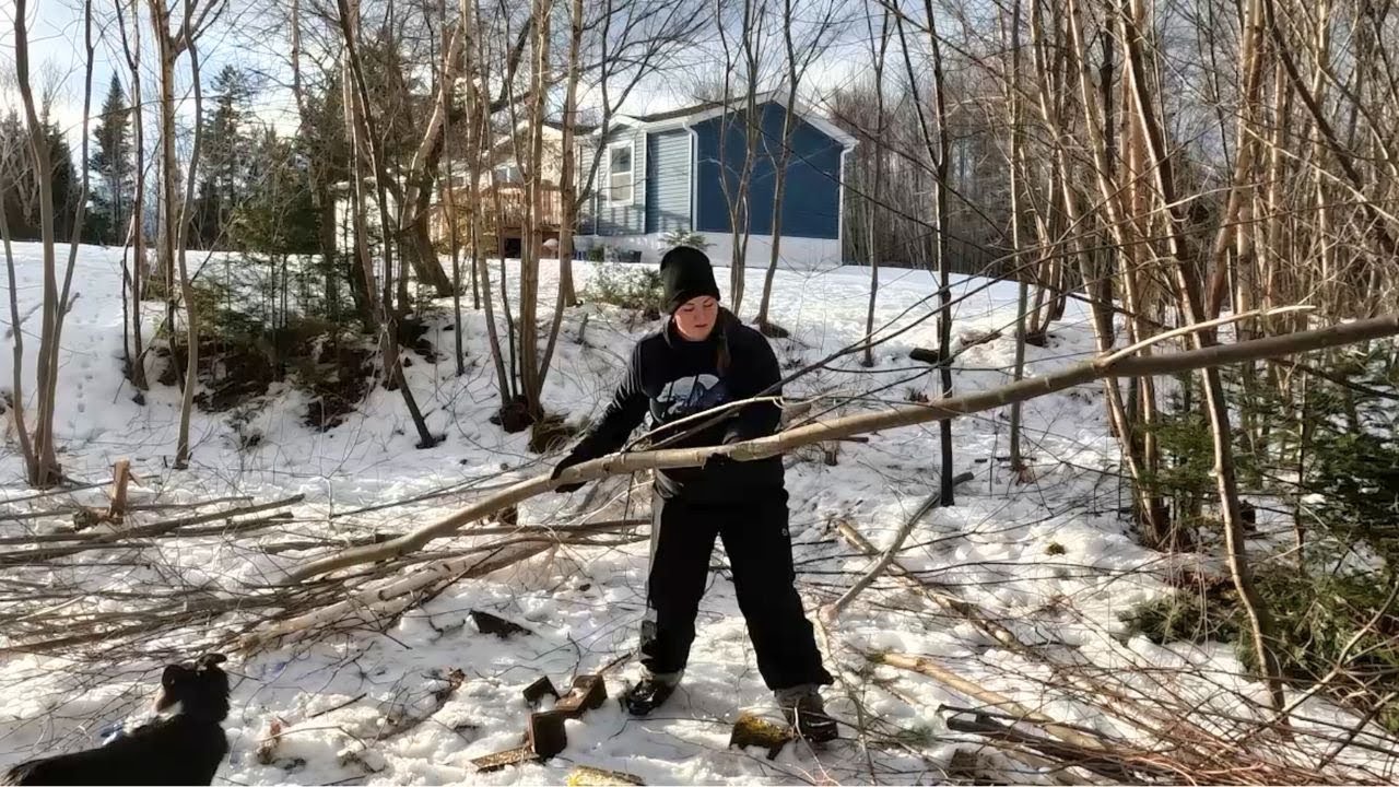 First Steps STARTING Our DREAM HOMESTEAD In New Brunswick, Canada (Ep. 11)