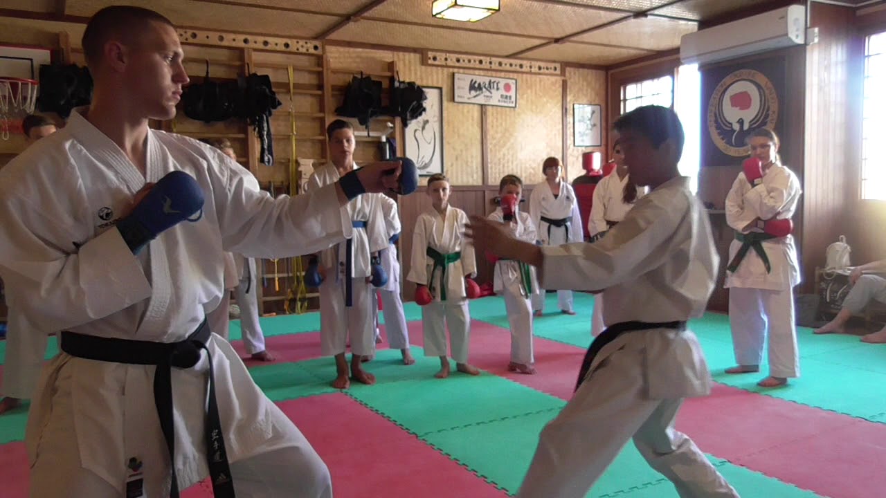Seminar by Nukina Ukraine 2018 baze of Wado kumite // Part 2