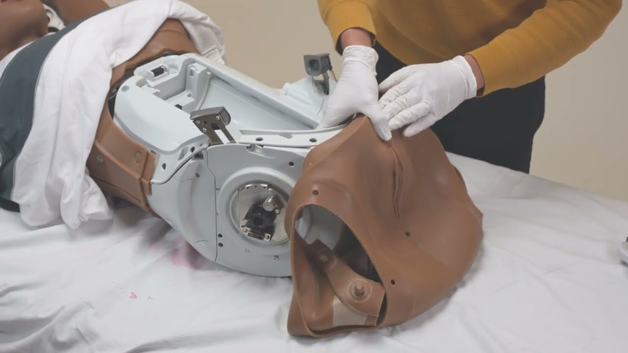 MamaAnne | How to remove and clean the Pelvis Skin