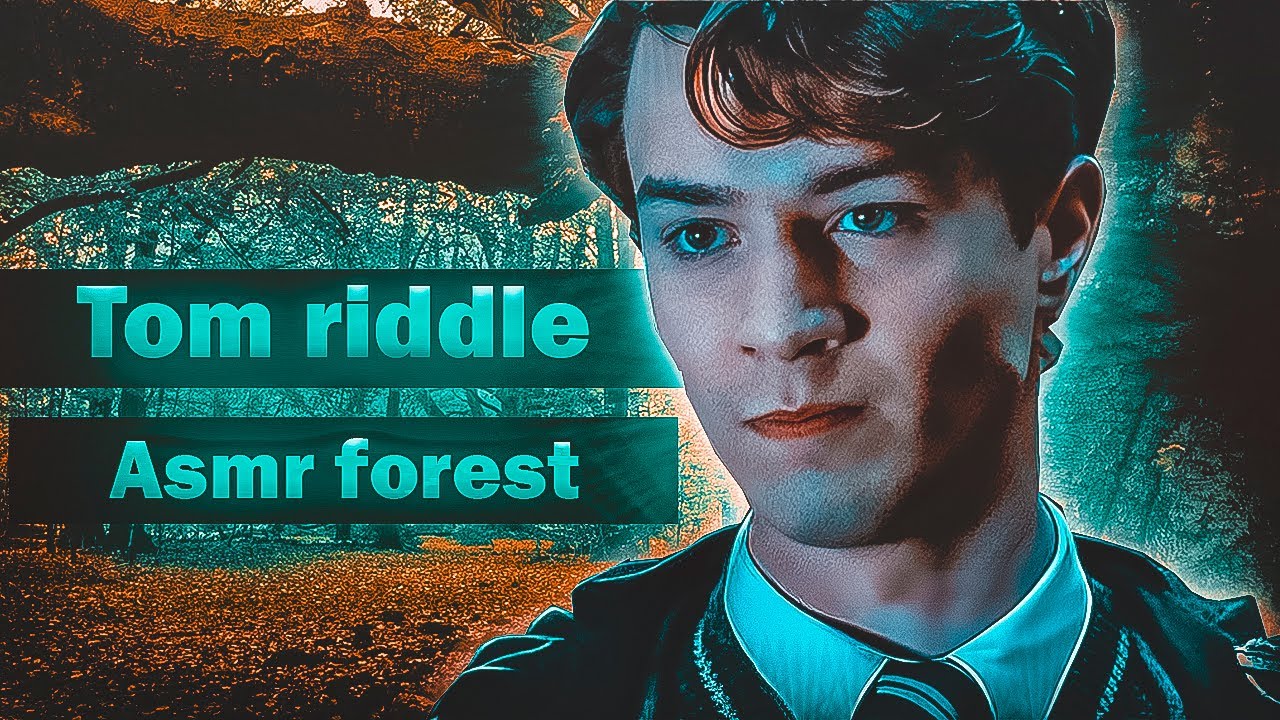 Walk through the forest Chat with Tom Riddle ASMR (Tom Riddle x you)